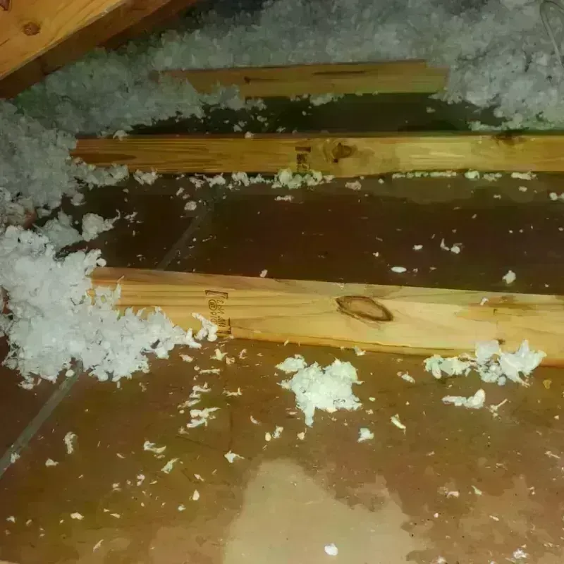 Attic Water Damage in Kelso, WA